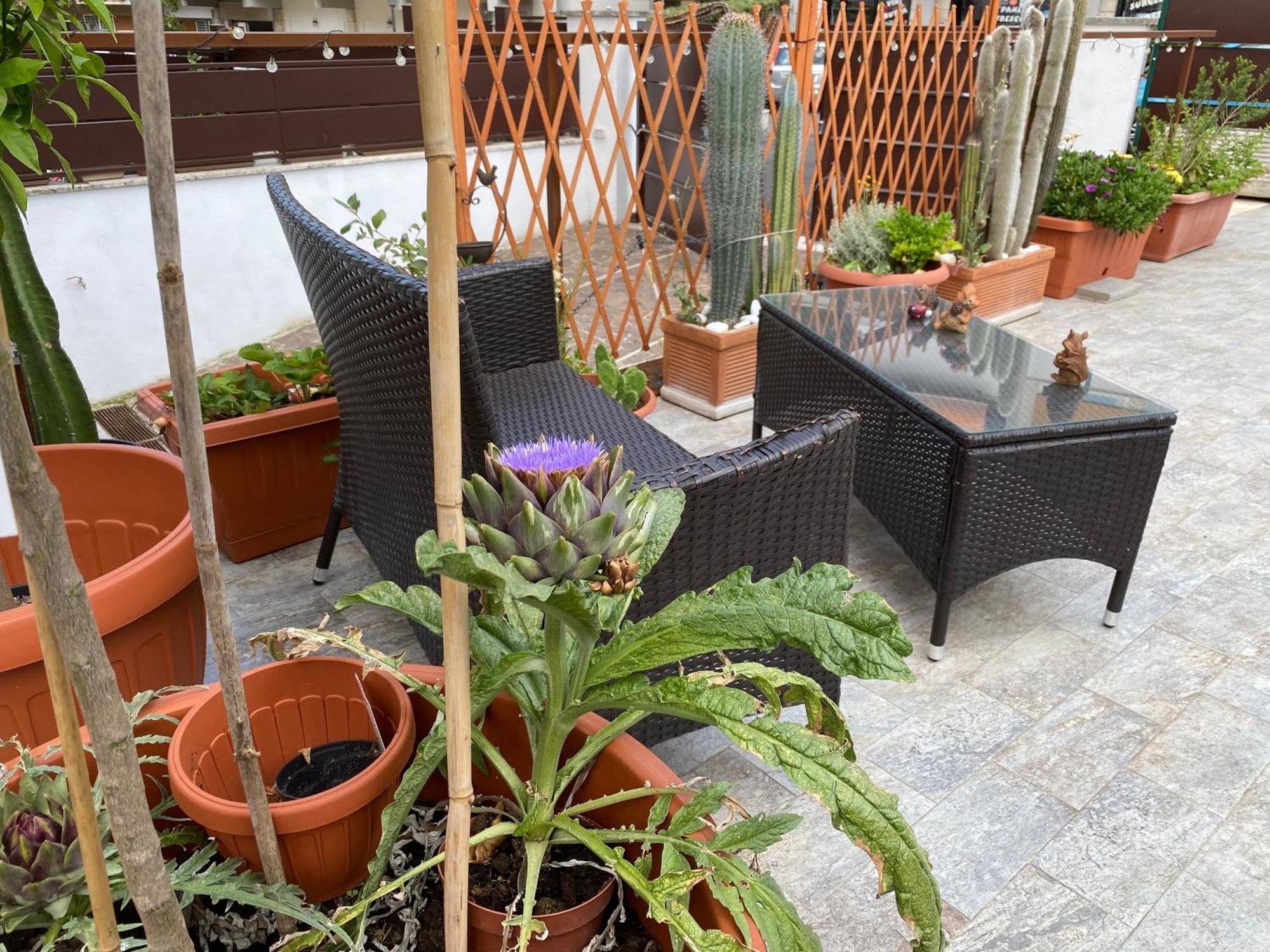 Officinale Rome Apartment, Pineta Sacchetti Extérieur photo